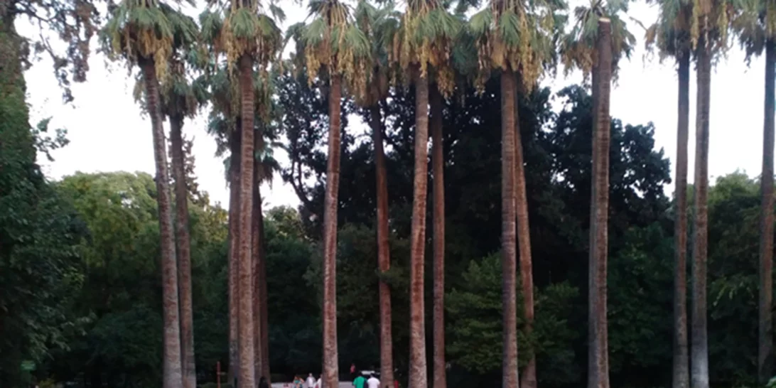 Γνώρισε τον Εθνικό Κήπο κάνοντας ποδήλατο (video)