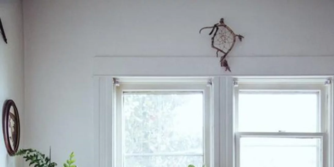 10 φυτά εσωτερικού χώρου που θα μεταμορφώσουν το σπίτι