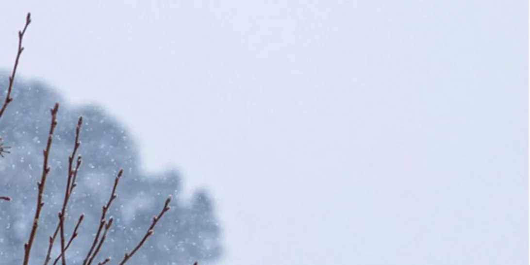 Αυτοί είναι οι Instagram λογαριασμοί που θέλουμε να ακολουθούμε τώρα