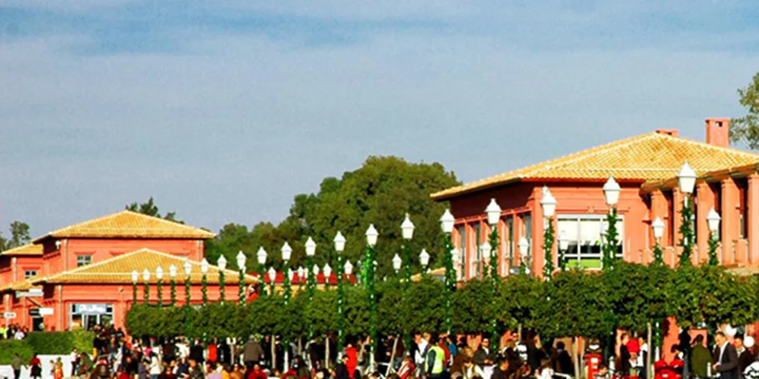 Πέντε μέρη που αγαπάμε στα Νότια προάστια (και γιατί)