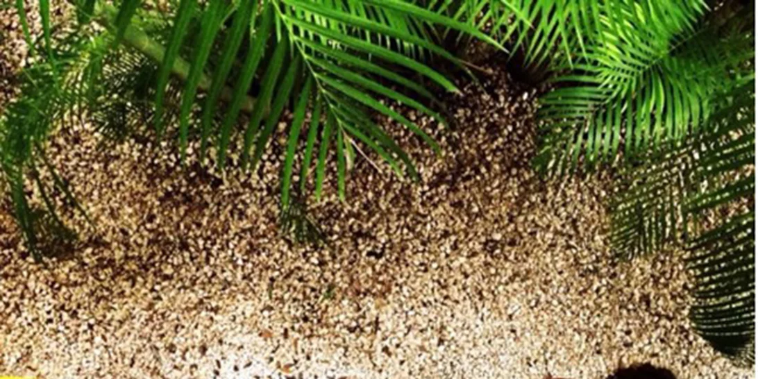 Oι fashion εμμονές μου στο Instagram!