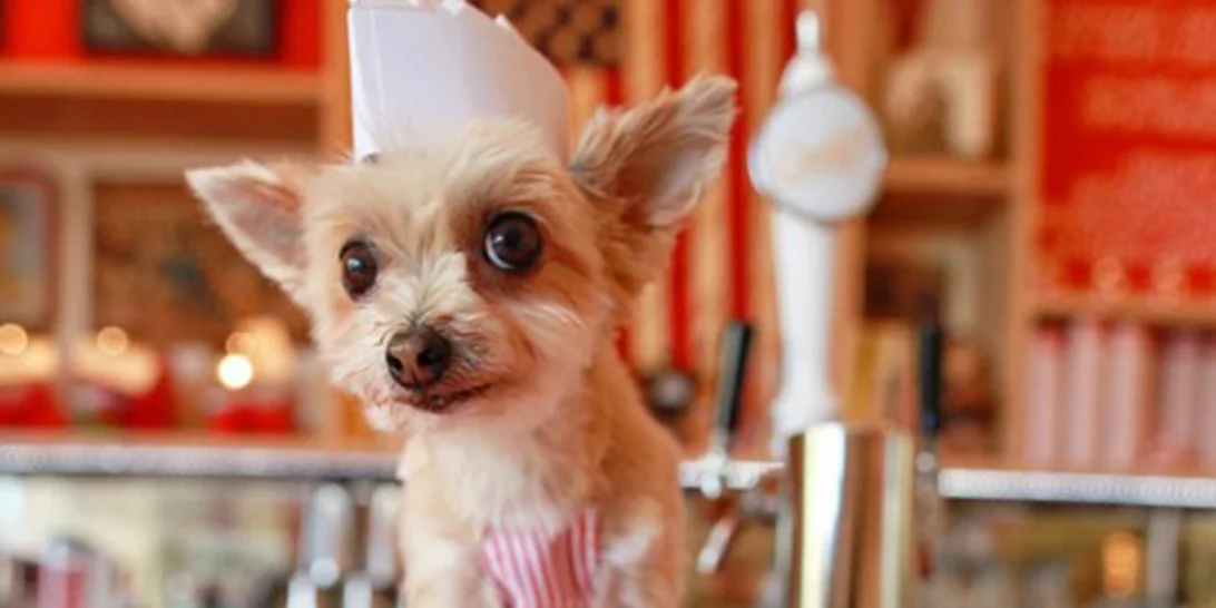 Σε αυτό το super market ψωνίζεις μαζί με τον σκύλο σου