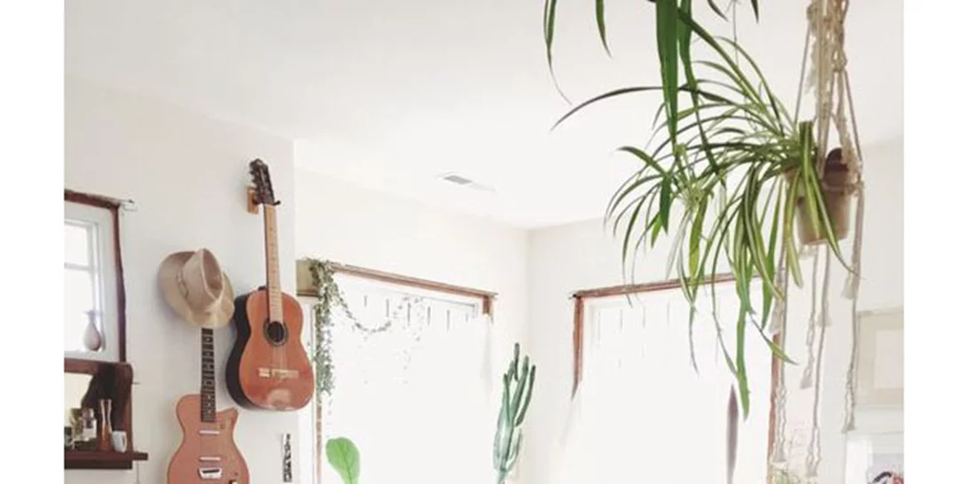 Mexican Style: Η απόλυτη τάση του καλοκαιριού, εντός και εκτός σπιτιού!