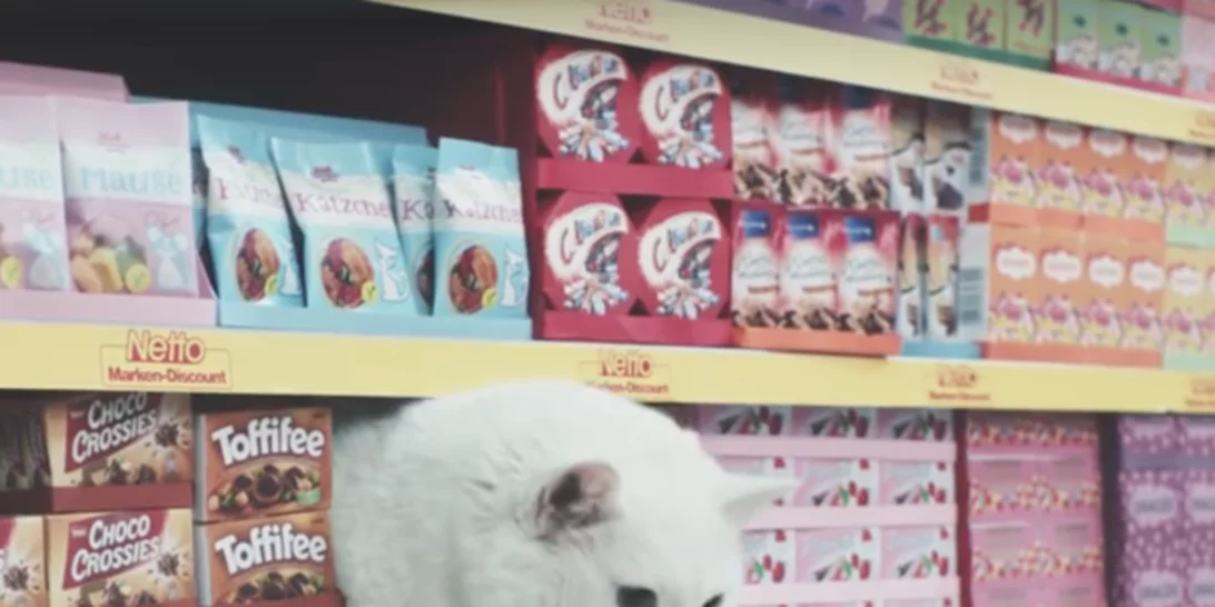 Γάτες στο supermarket: Το βίντεο που θα σου φτιάξει τη μέρα!