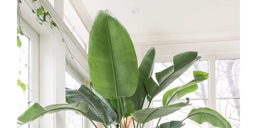 Summer Serenity: 15 ιδέες για ένα απόλυτα χαλαρωτικό σπίτι!