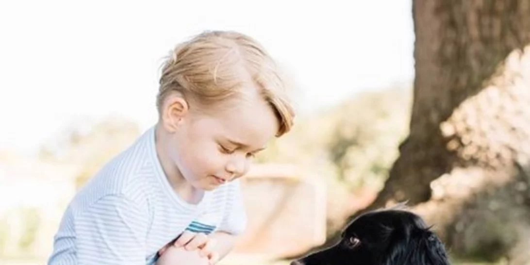 Αυτό το γενέθλιο πορτραίτο του πρίγκιπα George ξεσήκωσε αντιδράσεις