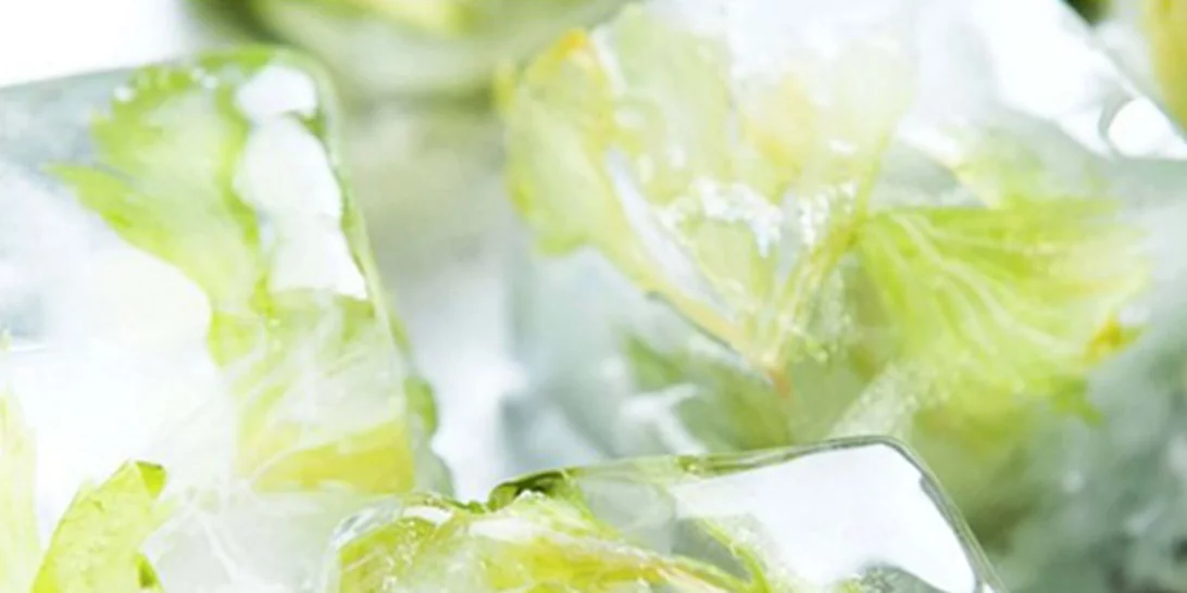 Δώσε γεύση στα παγάκια σου και αναβάθμισε κάθε ποτό