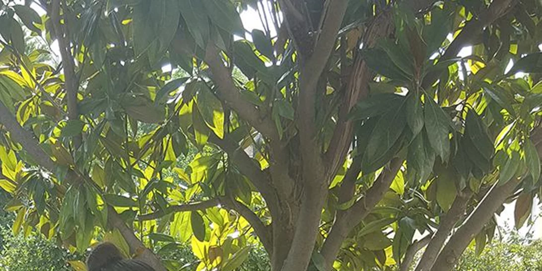 10+1 summer looks για την πόλη από τις ελληνίδες fashion bloggers