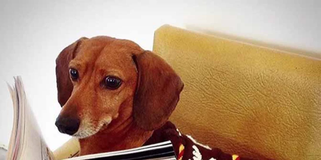 20/8: Αυτοί είναι οι Instagram λογαριασμοί που θέλουμε να ακολουθούμε τώρα