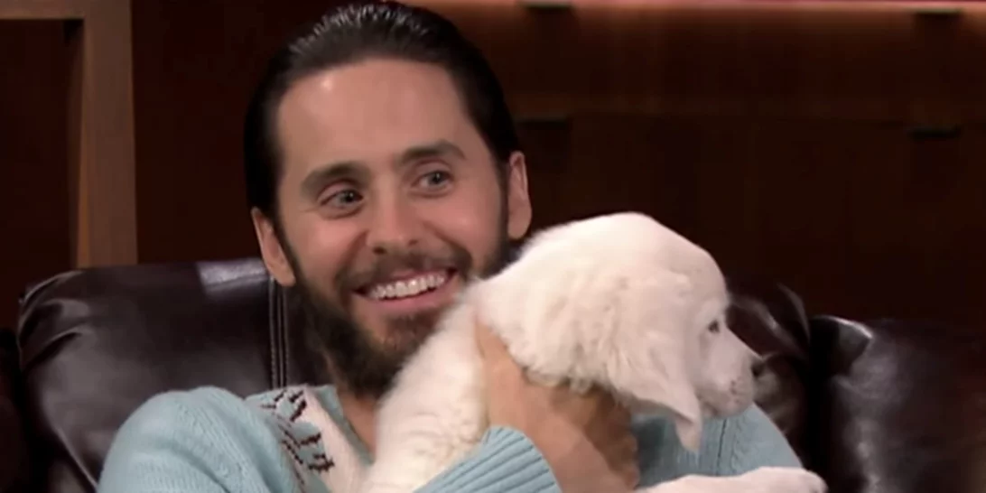 Jared Leto: Αγκαλιά με κουτάβια στον Jimmy Fallon (βίντεο)
