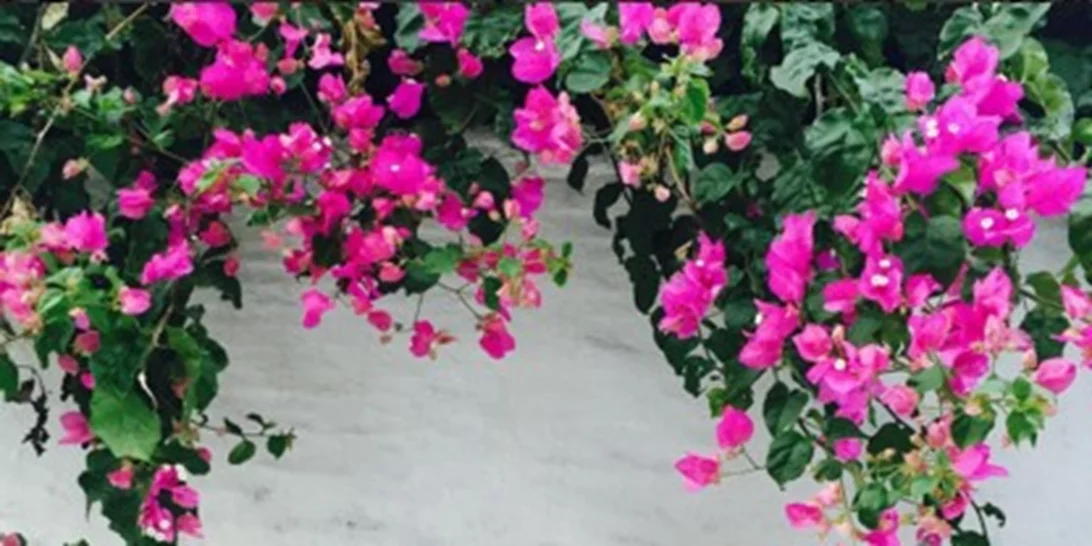 Μαρία Μπεκατώρου: Οι φωτογραφίες από τις διακοπές της στην Κεφαλλονιά