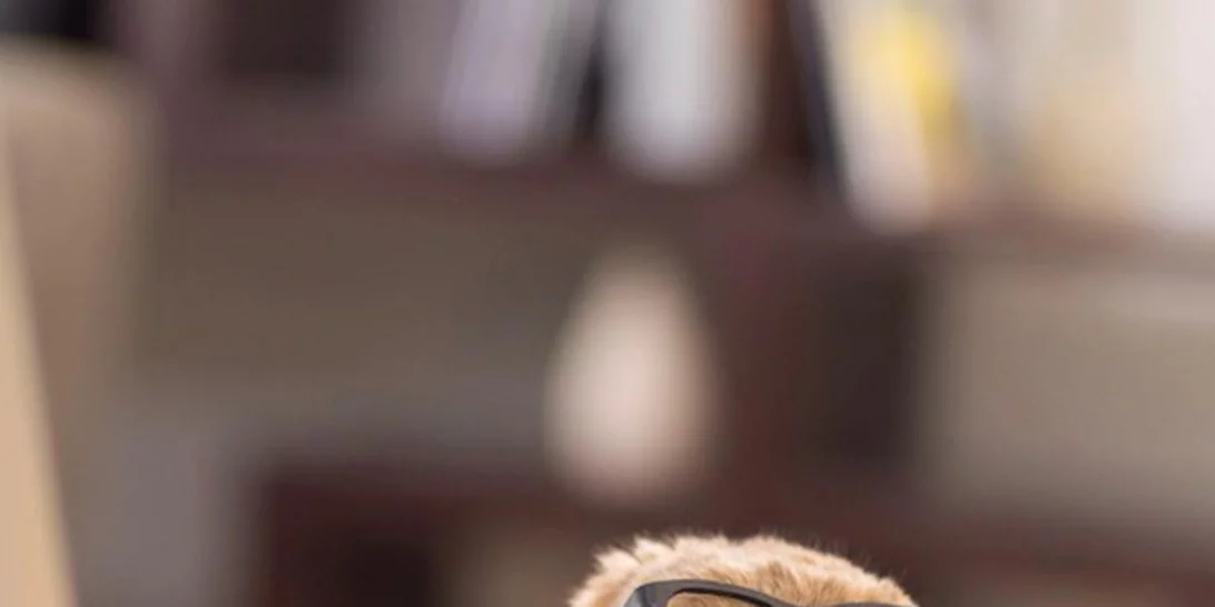 17/9: Αυτοί είναι οι Instagram λογαριασμοί που θέλουμε να ακολουθούμε τώρα