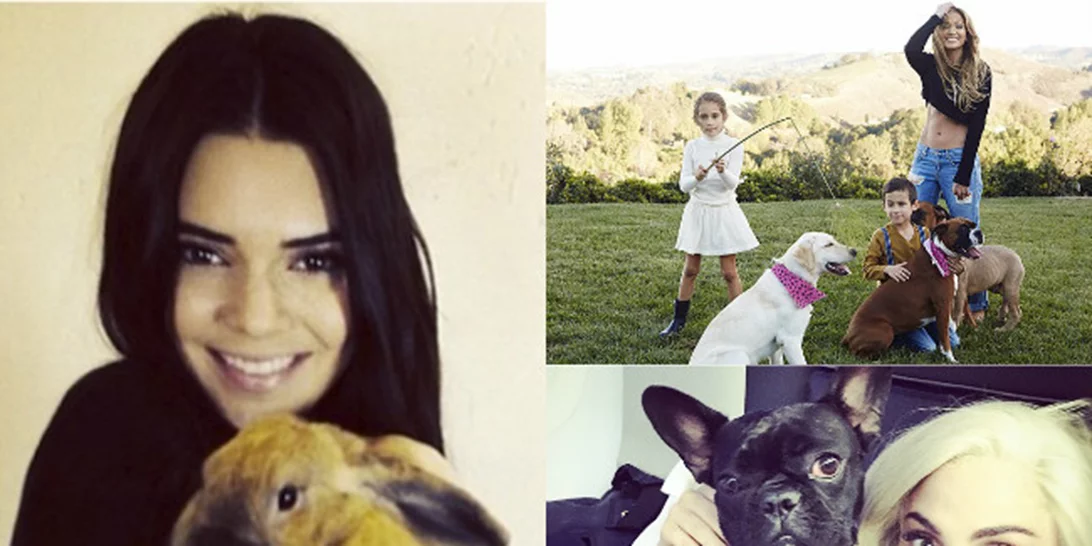 Παγκόσμια Ημέρα Ζώων: Οι πιο γλυκιές στιγμές των celebs με τα κατοικίδιά τους