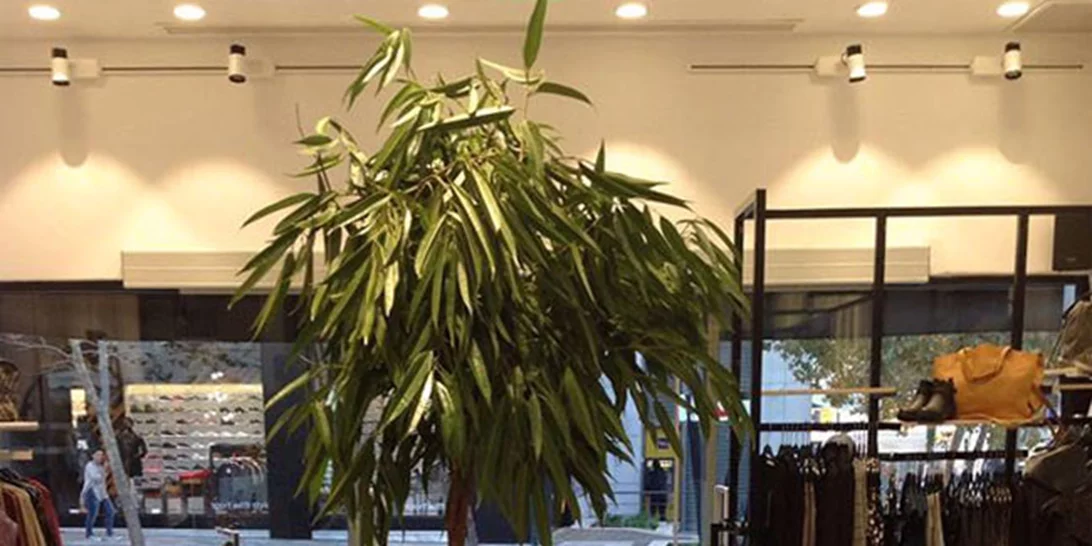 Helmi: Το Σάββατο 17 Δεκεμβρίου βοηθούμε τους "Φίλους του Παιδιού"