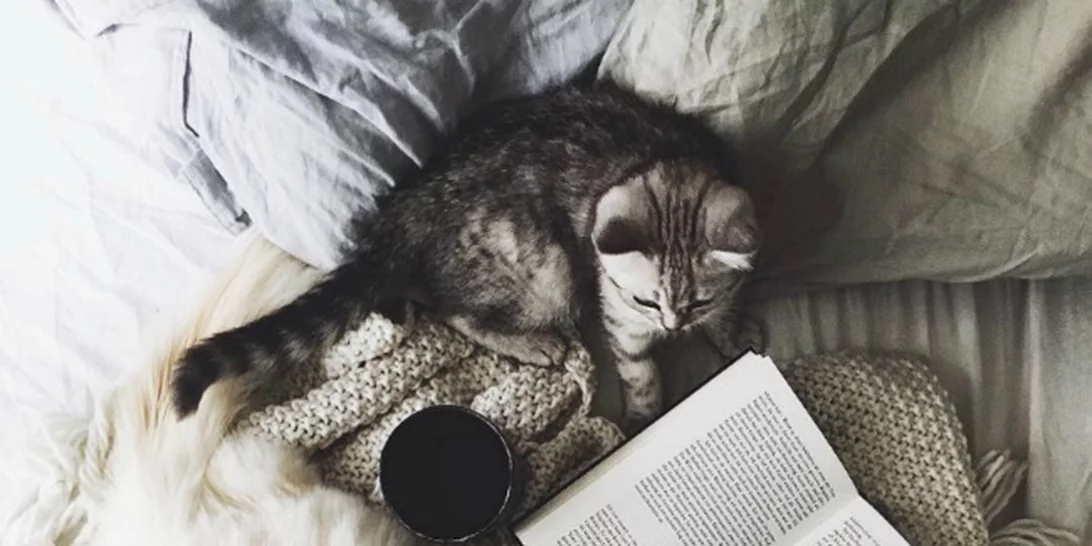 15/10: Αυτοί είναι οι Instagram λογαριασμοί που θέλουμε να ακολουθούμε τώρα