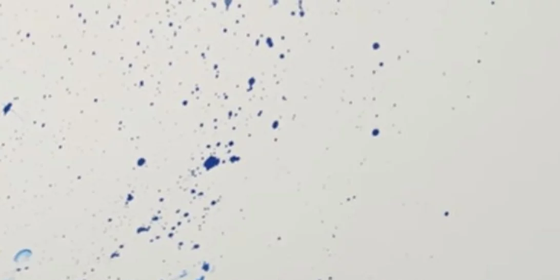 Kendall Jenner - Gigi Hadid: Γίνονται καλλιτέχνες performance στο νέο τους βίντεο