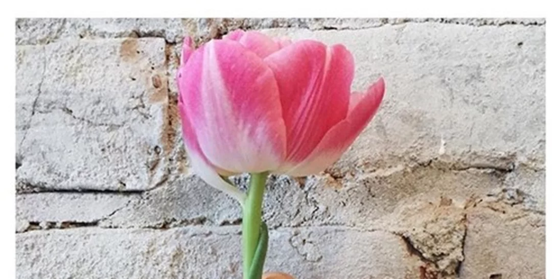 #maniMonday και Baby It's Cold Outside: Με άλλα λόγια, πώς να βάψεις τα νύχια σου τώρα