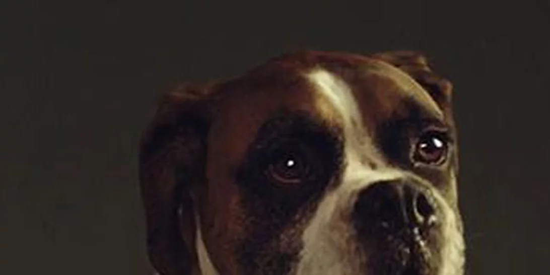 Αυτή είναι η χριστουγεννιάτικη διαφήμιση που κάνει το γύρο του ίντερνετ