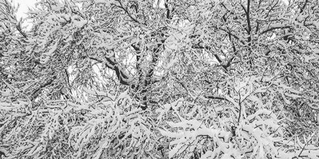 Φωτογραφίες από την «κάτασπρη» χριστουγεννιάτικη Αθήνα