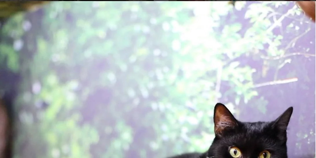 Fooding around: 5 θεματικά μέρη για να επισκεφτείς στο επόμενο ταξίδι σου