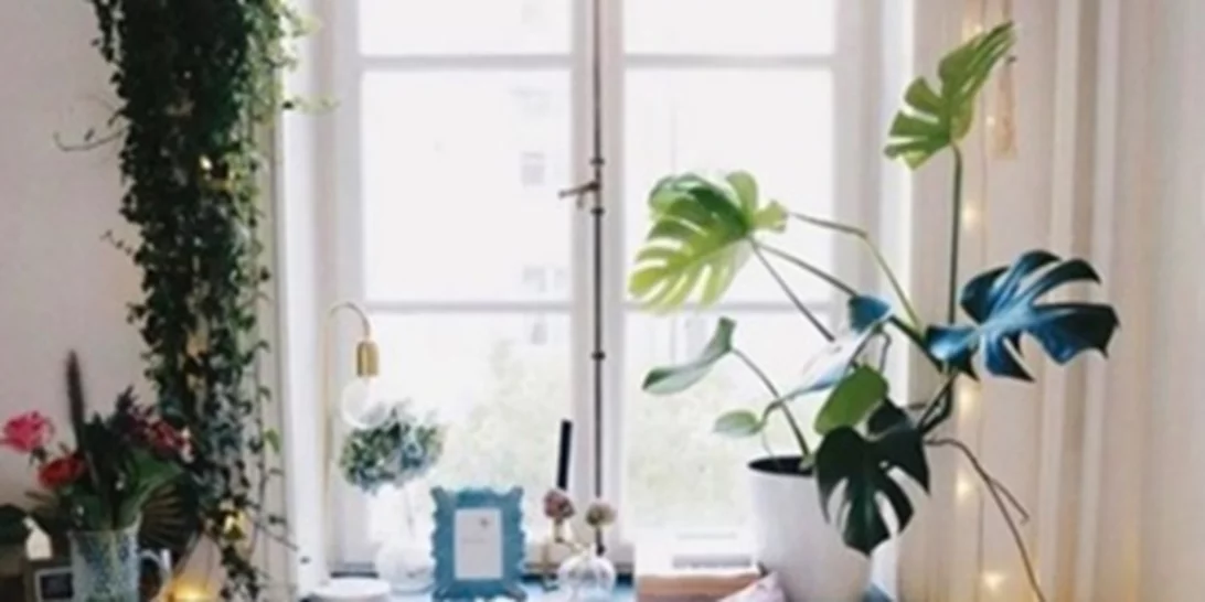 Αυτό είναι το μοναδικό μυστικό για να οργανώσεις το σπίτι σου