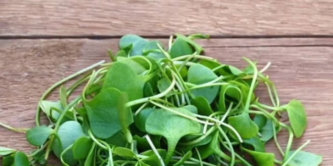 Νεροκάρδαμο για υγιή μαλλιά; Δες και τις 10 τροφές για δυνατά, μακριά μαλλιά!