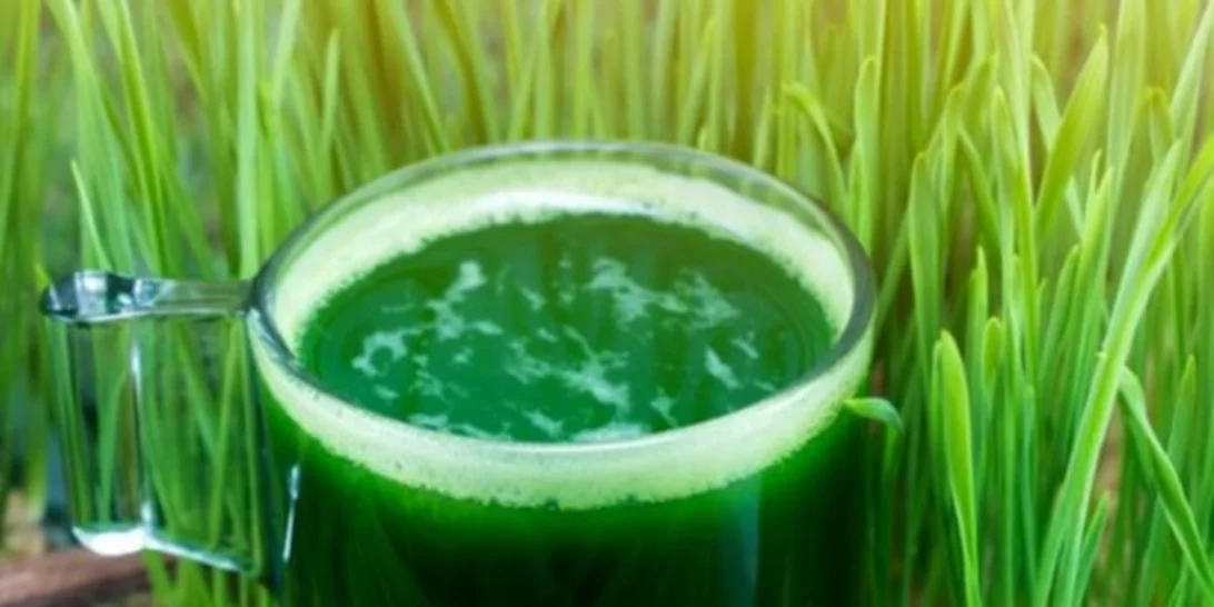 Χυμός από σιταρόχορτο: Η ισχυρότερη αποτοξινωτική τροφή γεμάτη πρωτεΐνη και δεν το δοκίμασες ΑΚΟΜΑ;