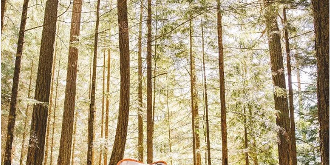 Έτοιμη για camping; Αυτά είναι όσα πρέπει να έχεις στη βαλίτσα σου