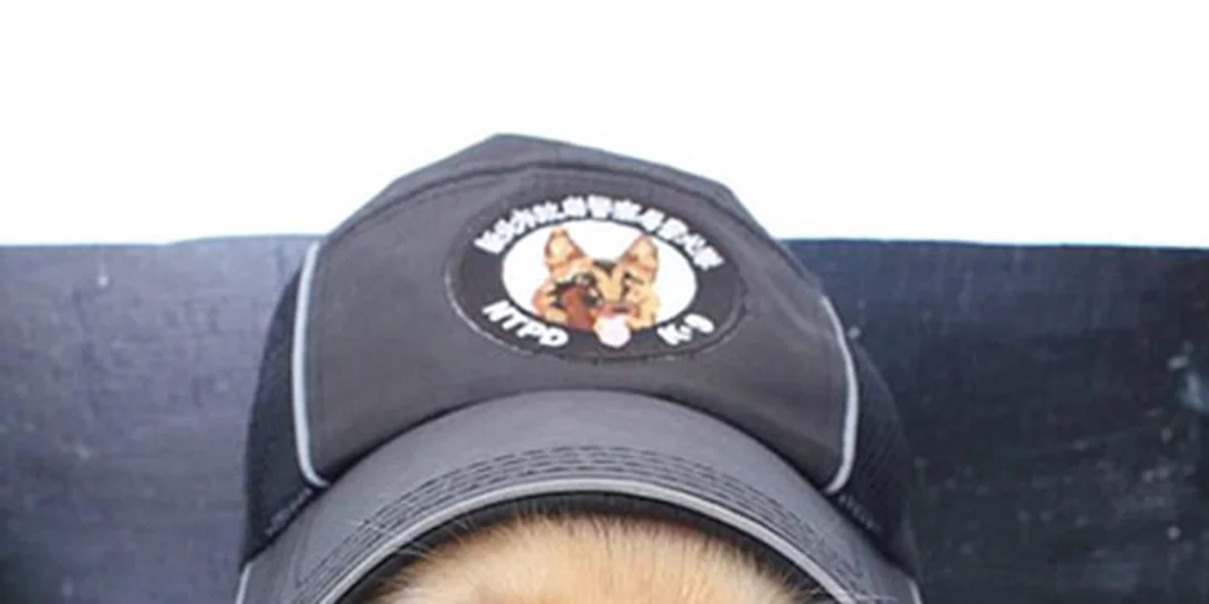 Τα νέα μέλης της αστυνομίας της Ταϊβάν είναι κουτάβια και έχουν τρελάνει το ίντερνετ