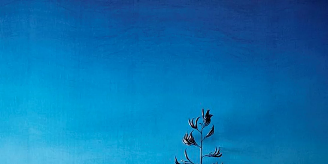 Οι μεγαλύτερες τάσεις στη διακόσμηση του σπιτιού για το 2017