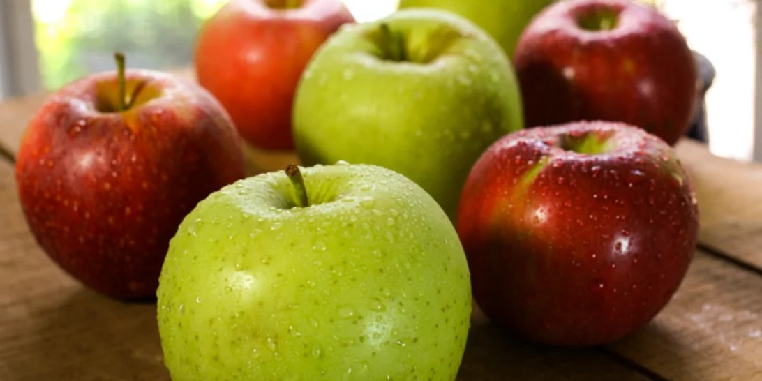 Σπάνε κάθε ρεκόρ οι εξαγωγές φρούτων και λαχανικών το 2023