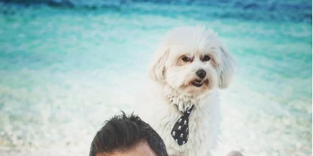 Παντρεύτηκε ο Σάββας Πούμπουρας! - Δες τις πρώτες φωτογραφίες με τη σύζυγό του