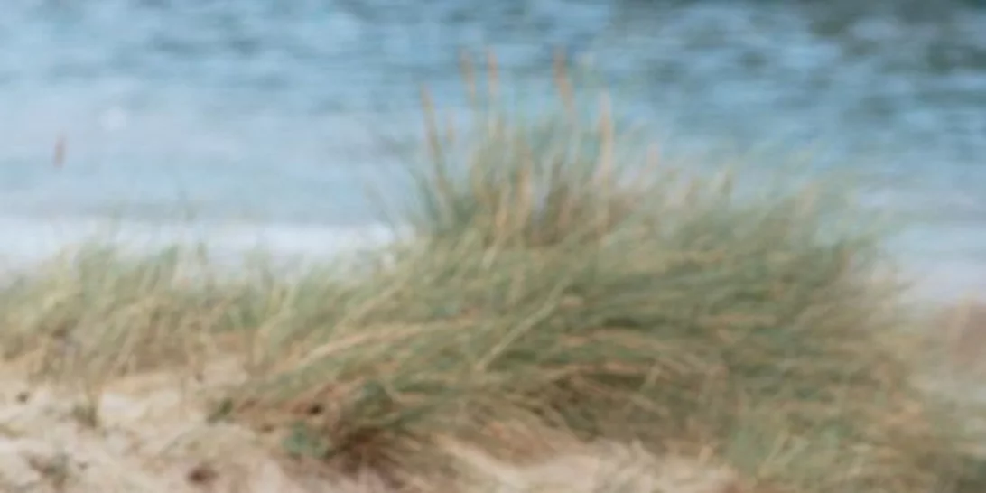 Πικνικ στην Παραλία: Όλα όσα θα χρειαστείς και οι ωραιότερες ιδέες να αντιγράψεις!