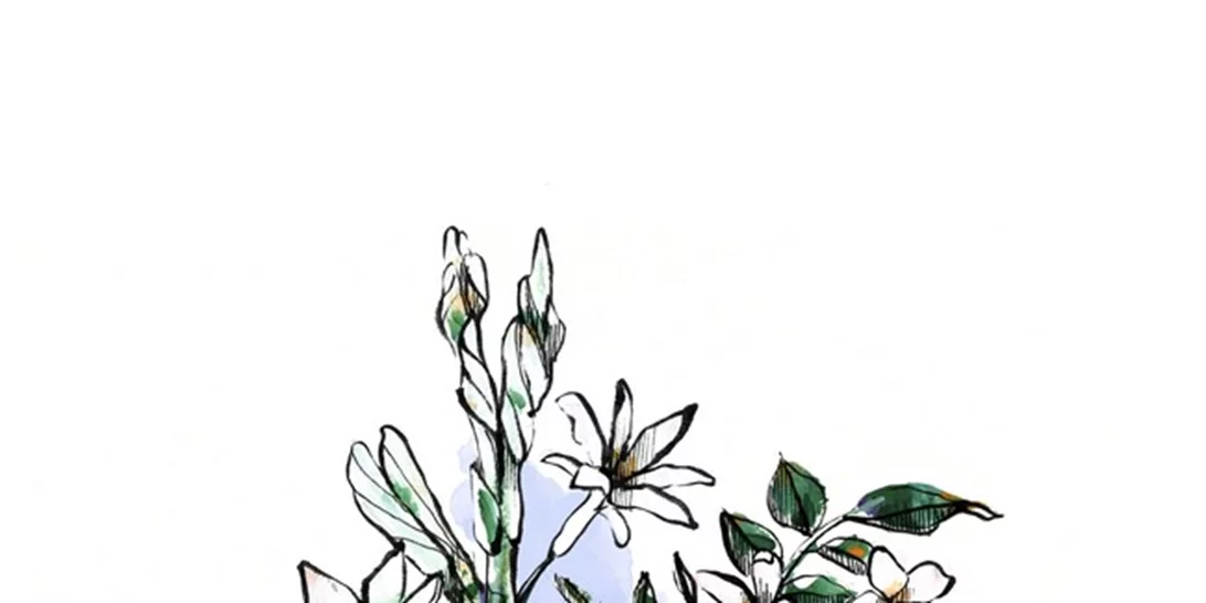 Το φθινόπωρο μόλις έγινε καλύτερο γιατί ο οίκος Gucci λάνσαρε νέο άρωμα