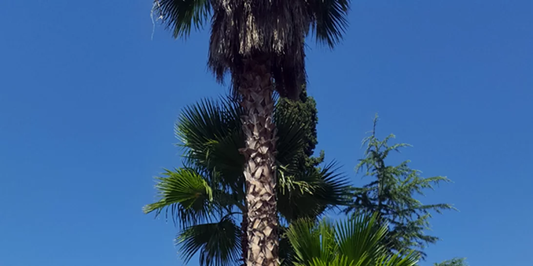 Esmara by Heidi Klum | 5 high fashion looks από την πιο συναρπαστική συνεργασία της σεζόν