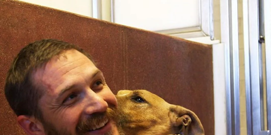 Tom Hardy | Ποζάρει με σκυλιά και φτιάχνει την ημέρα μας (κάθε μέρα!)