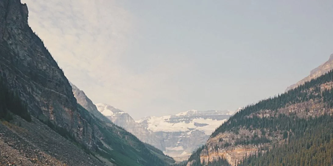 Η Suki είναι η πολυταξιδεμένη γάτα που κάνει τη ζωή που ονειρεύεσαι