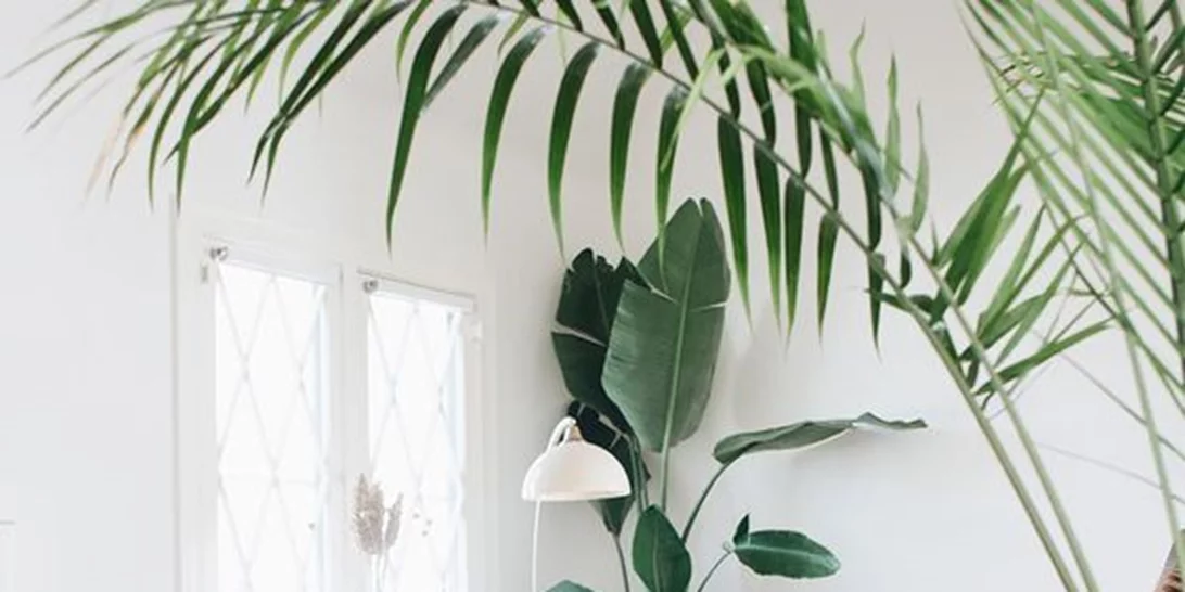 Φθινοπωρινή Ανανέωση | 25 εύκολα καθημερινά tips για τάξη και καθαριότητα στο σπίτι