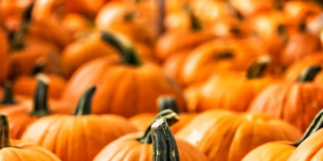5 λόγοι να φας κολοκύθα ΤΩΡΑ (ναι, ξεκινάει η εποχή της!)