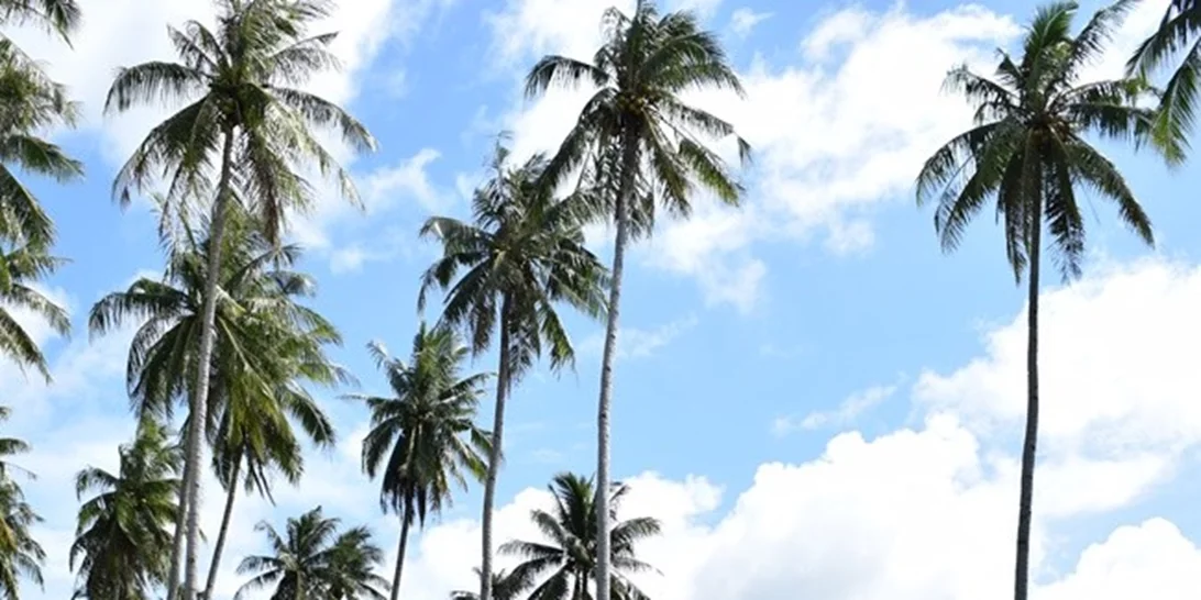 Nomads: Ο παίκτης που σώθηκε & η μονομαχία