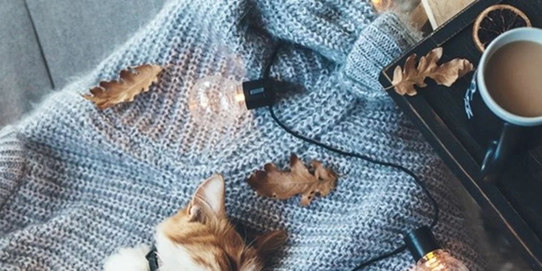 Πώς θα κάνεις το σπίτι σου λίγο πιο cozy αυτό το φθινόπωρο;