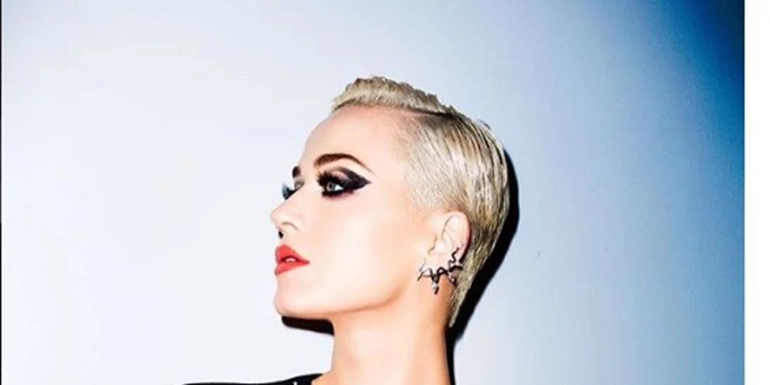 Katy Perry | Είναι ο φρεσκοχωρισμένος star το νέο της φλερτ;