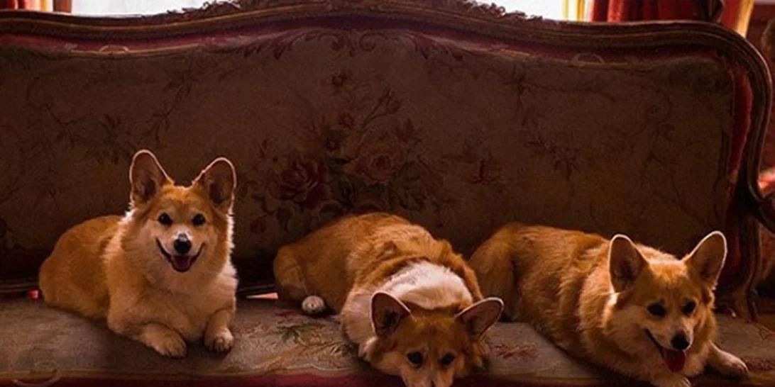 Οι νέες σειρές του Netflix που θα σού κρατήσουν την καλύτερη συντροφιά τον Δεκέμβριο!