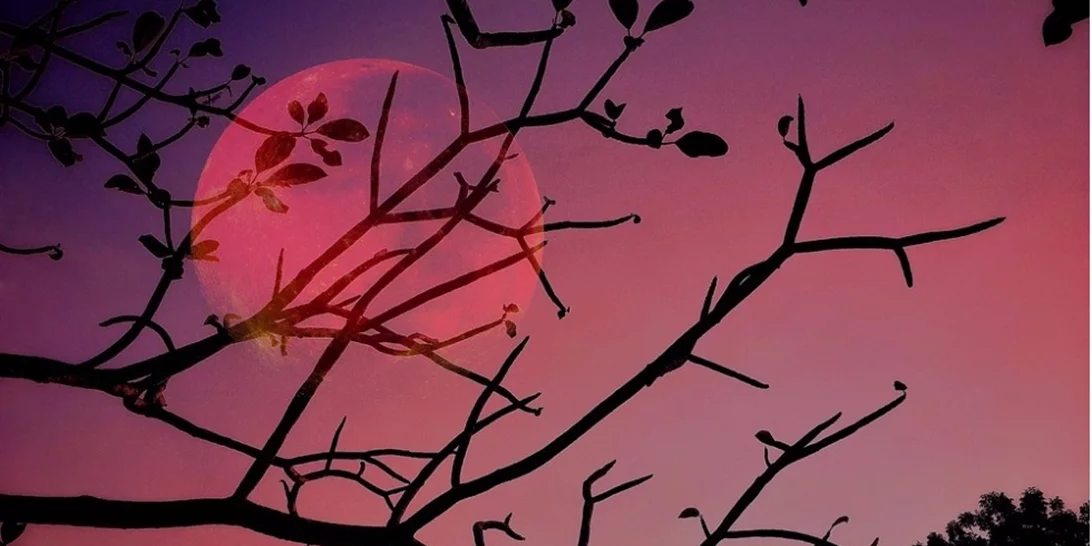 Πανσέληνος στον Ταύρο | Τι σημαίνει για το ζώδιό σου;