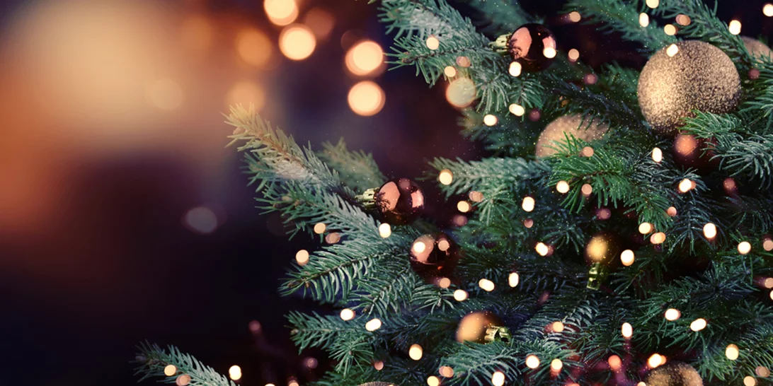 Χριστουγεννιάτικο δέντρο | Αυτός είναι ο σωστός τρόπος να βάλεις τα λαμπάκια!