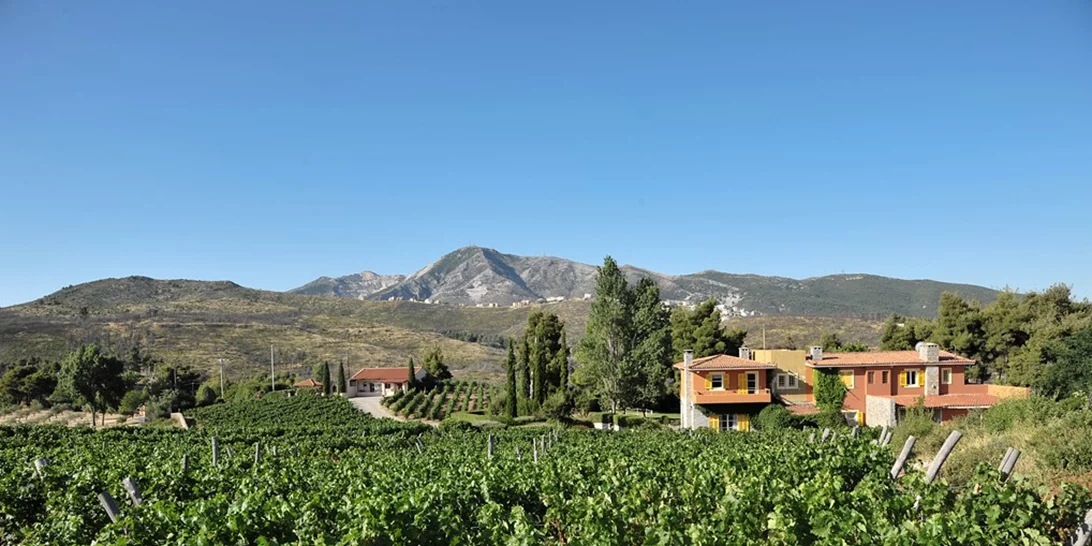 Εσύ που θα περάσεις την πρώτη Κυριακή του μήνα;