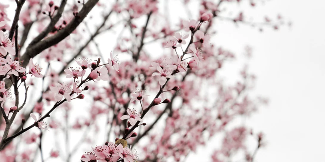 Τι χρώμα έχει ο Μάρτιος; Εμείς, το μάθαμε!