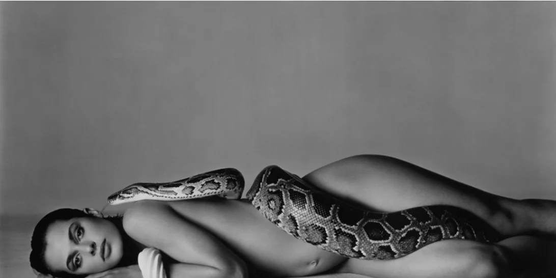 Μια συλλογή φωτογραφιών με τις πιο ξεχωριστές φωτογραφίες μόδας θα δημοπρατηθεί από τον Οίκο Sotheby’s