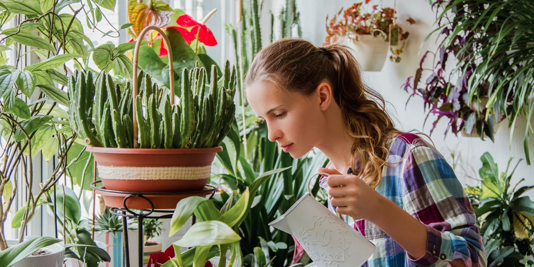 Φυτά εσωτερικού χώρου: Ποιο να επιλέξεις ανάλογα με το ζώδιο σου!