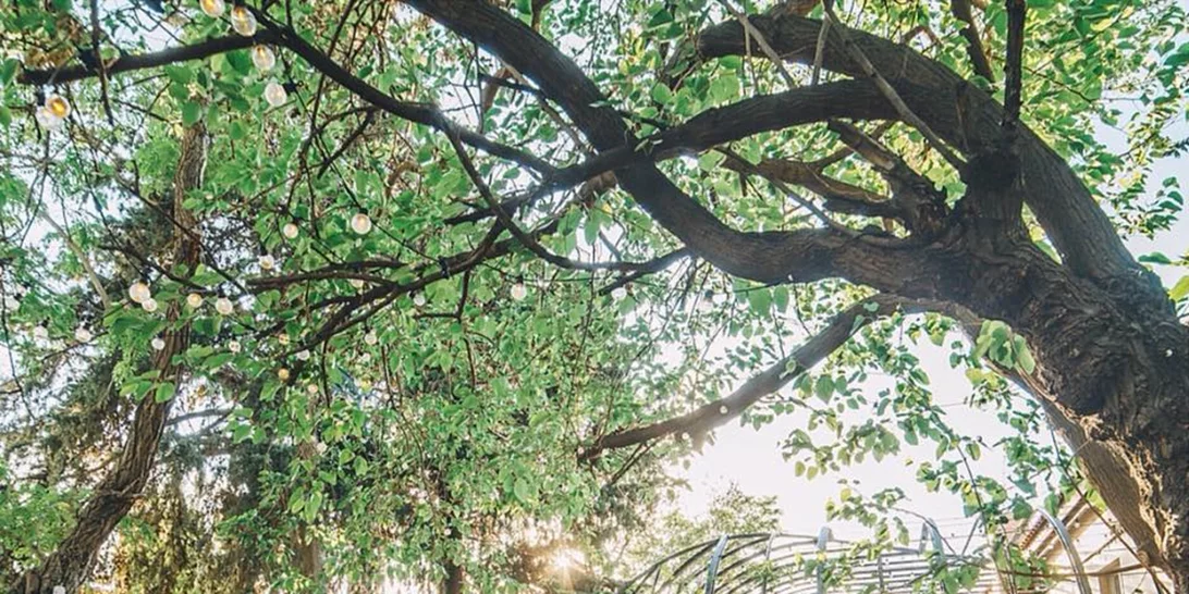 Καλοκαιρινός Tasty Οδηγός: 7 αγαπημένοι κήποι στην Αθήνα